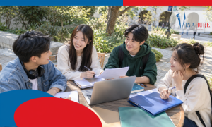 Học bổng trường không cần HSK